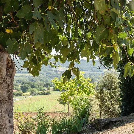 In Il Vecchio Forno Umbro Citta Di Castello